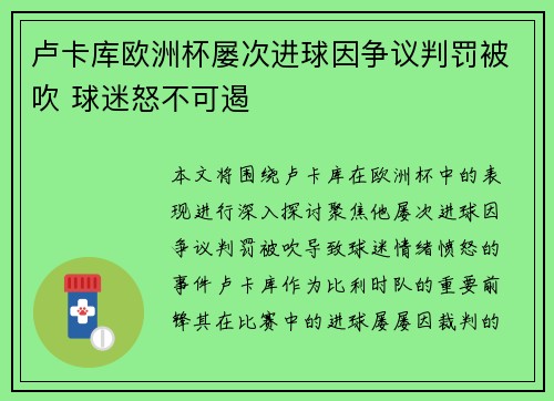 卢卡库欧洲杯屡次进球因争议判罚被吹 球迷怒不可遏